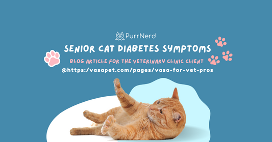 Is Your Older Cat Acting “Off”? These Senior Cat Diabetes Symptoms Could Be the Reason