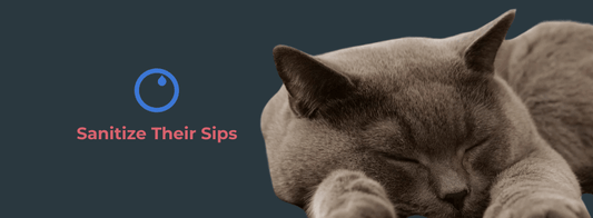 Pink Slime in Cat Water Bowl? - VASA Pet