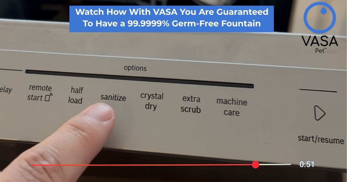 Load video: Easiest to clean cat drinking fountain