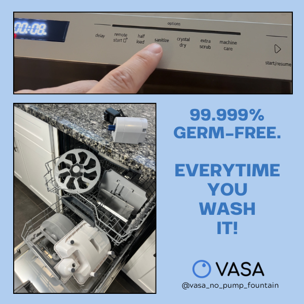 veterinarian recommends a dishwasher to clean cat water fountain